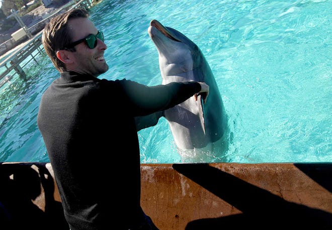 Texas Tech coach Kliff Kingsbury dances with a dolphin during a trip to Sea World on Thursday in San Diego. (Zach Long)