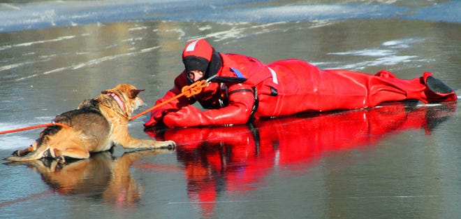 Around noon on Wednesday, Bourne Fire Department Lt. Dana Dupuis went out onto the ice of Queen Sewell Pond to rescue Ruby, a dog who had fallen in to the icy water after walking across a thin spot.