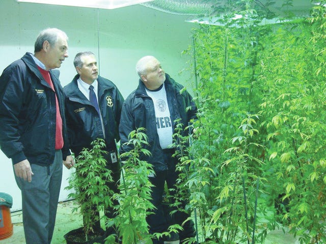 BIG PLANTS — Moore County Sheriff Neil Godfrey, Chief Deputy Jerrell Seawell and Capt. Darren Little inspect marijuana plants in an underground marijuana grow operation in which they confiscated over half a million dollars worth of drugs. (Contributed photo) 
 SOPHISTICATED SET-UP — This drying room where marijuana was processed for distribution is part of the indoor marijuana manufacturing operation, one of the largest that has been found in Moore County, according to authorities. (Contributed photo)