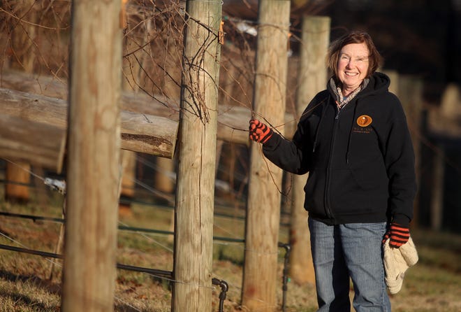 Debra Blanton stands in her vineyard in Shelby. Dr. Sara Spayd and Wayne Mitchem from N.C. State will host a program at Blanton’s vineyard at 1117 W. Zion Church Road in Shelby at 1 p.m. Wednesday. (Brittany Randolph/The Star)
