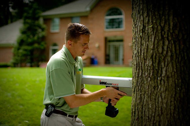 This undated publicity photo provided by SavATree shows an arborist using a resistograph to detect tree decay, which can help determine a tree's stability. (AP Photo/SavATree)