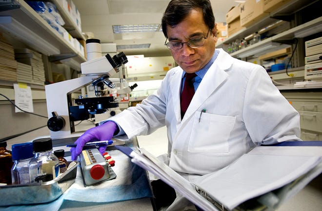 Nirbhay Kumar, professor and chair of tropical medicine at Tulane University School of Public Health and Tropical Medicine, is using E.coli to make a malaria vaccine.