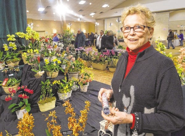 PHOTO BY CHRISTINA STYAN/THE CHRONICLE
Former Dartmouth resident and Cape & Islands Orchid Society member Dottie Temple gets ready to use a teleidoscope, a kind of kaleidoscope, for a unique look at some of the exhibits on display.