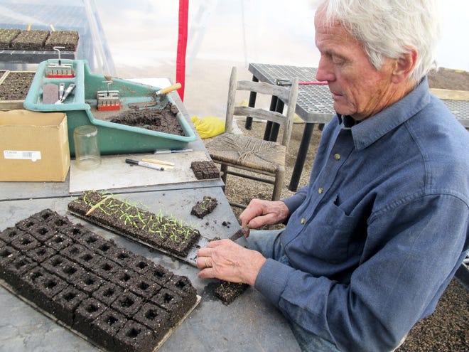 Eliot Coleman has created the industry standard for the proper soil mix and moisture content to create soil blocks. He details the technique in his book, “The New Organic Grower.”