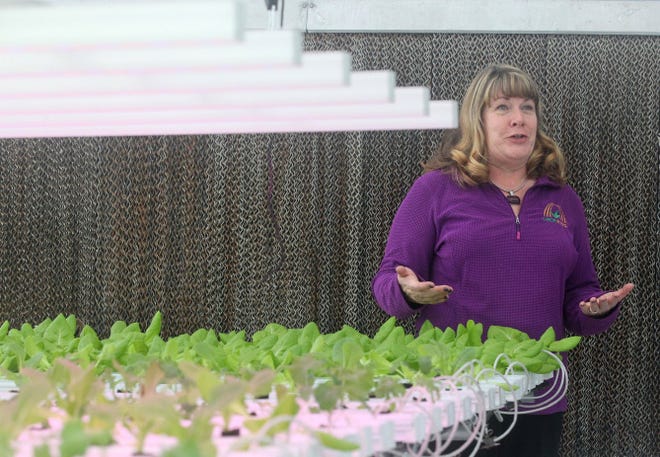 CropKing owner Marilyn Brentlinger explains the operation at the greenhouse.