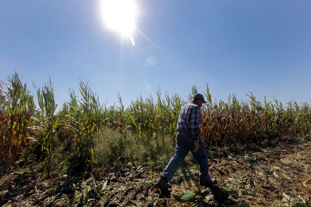 ASSOCIATED PRESS FILE PHOTO / Larry Hasheider walks along one of his corn fields on his farm in Okawville, Ill., on Oct. 16. 
 THE ASSOCIATED PRESS / Senate Minority Leader Mitch McConnell, R-Ky., returns to his Capitol Hill office in Washington on Monday after speaking on the floor as the farm bill is considered.