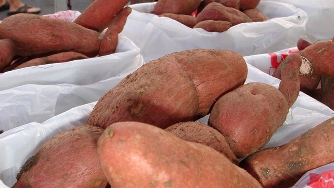 Sweet potatoes can be found later in the year at local farmers’ markets.