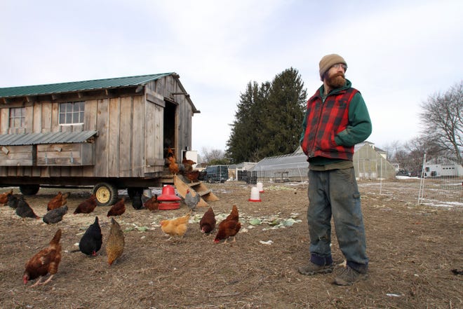 Charles Currie stands in his chicken pen, which he will have to move to Raynham, Mass., along with all his farm equipment, because he has lost the lease to the land in Johnston that he has been renting for the past 2 years. Currie says he could not find farmland in Rhode Island that met his needs.