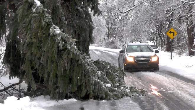 Acar has to manuever around a limb from a fallen pine trtee on Summit Ave in Hilltown after the latest storm covered the area with a heavy layer of ice on Wednesday morning.