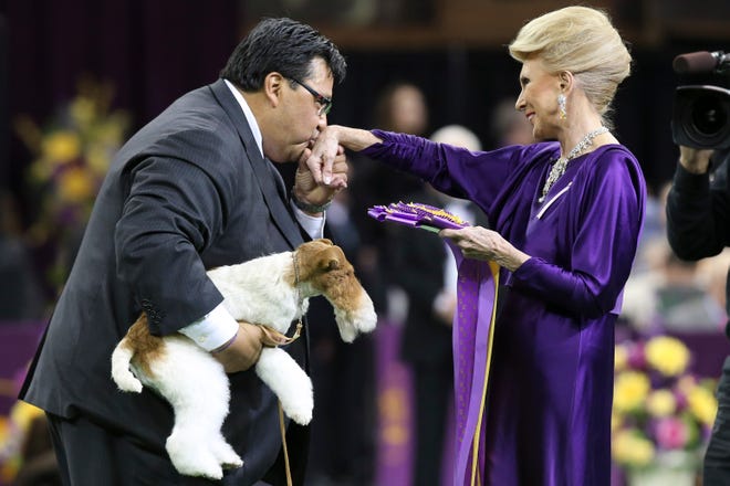Sky, a wire fox terrier, is held as his handler Gabriel Rangel kisses the hand of judge Betty Regina Leininger after winning best of show during the Westminster Kennel Club dog show, Tuesday, Feb. 11, 2014, in New York. (AP Photo/)