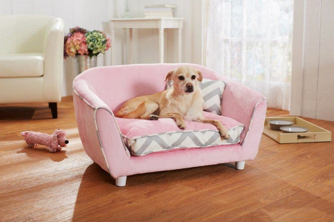 Enchanted Home Pet sells dog-sized sofas found in stores and online.