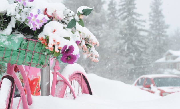 Snow falls on the signature pink bike outside of Village Crafts & Collectibles in Mountainhome on Tuesday, February, 18, 2014.