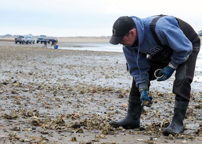 New regulations are on the way for local oystermen.