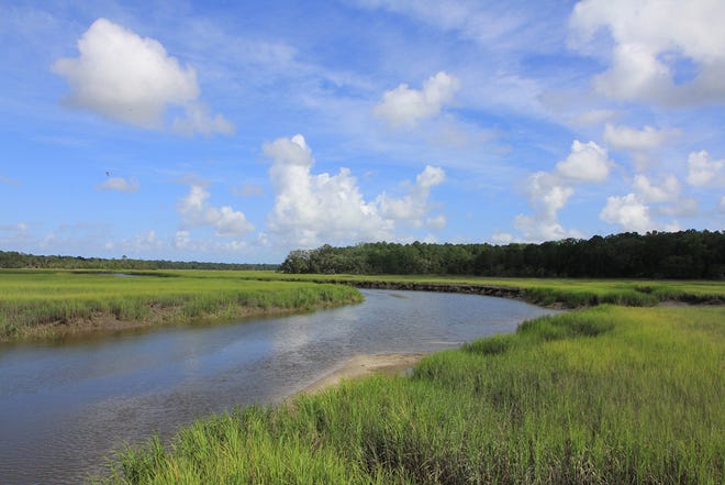 A salt marsh runs along Harris Neck Creek in McIntosh County, Ga. Salt marshes provide important ecosystem services-including storm protection, nitrogen removal and wildlife habitat-and serve as a nursery ground for coastal fisheries. (Credit: courtesy of Philip Juras)