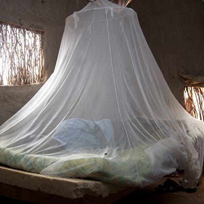 Insecticide-treated mosquito nets help prevent death from malaria.