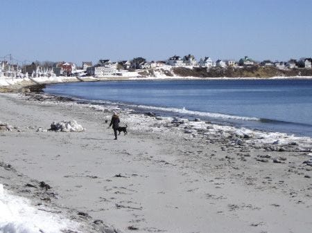 A woman walks two dogs on Long Sands Beach, Friday, Feb. 28.
Susan Morse photo