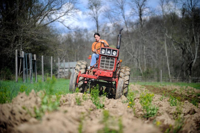 Heidi Secord of Josie Porter Farm in Cherry Valley drives a 1985 tractor while discing a field for onions. Secord is in Washington D.C. this week for the International Women's Day Summit to petition the federal government for more funding to invest in women farmers and communities in crisis.