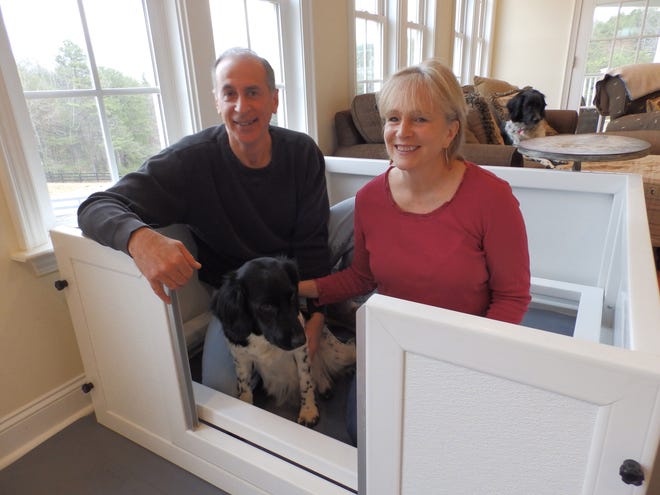 Michael and Judy Wiltsek of Mill Spring pose with Suffie, a rare Stabyhoun, in Suffie's whelping box in their home.