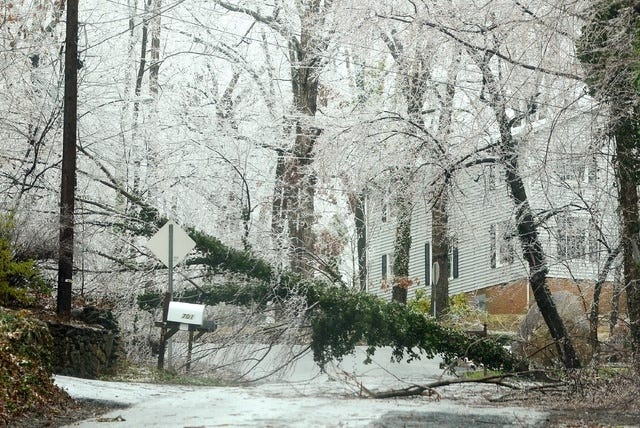 Tree across Westmont Drive in Asheboro on Friday, March 7, 2014, during ice storm. (John E. Abernethy/The Courier-Tribune)
