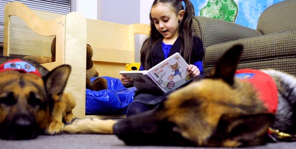 Julia Bathjer, 6, of Pocono Lake reads to therapy dogs Charlie, left, and Zosia at the Clymer Library on Thursday night. Julia reads to the dogs a few times a month.