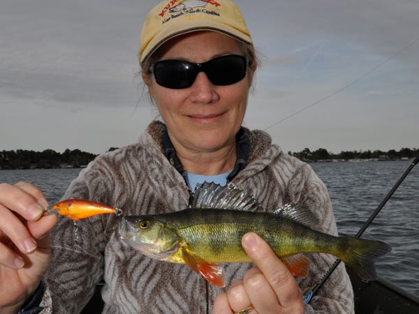 Carol Marsh caught this yellow perch at White Lake. Photo by Mike Marsh