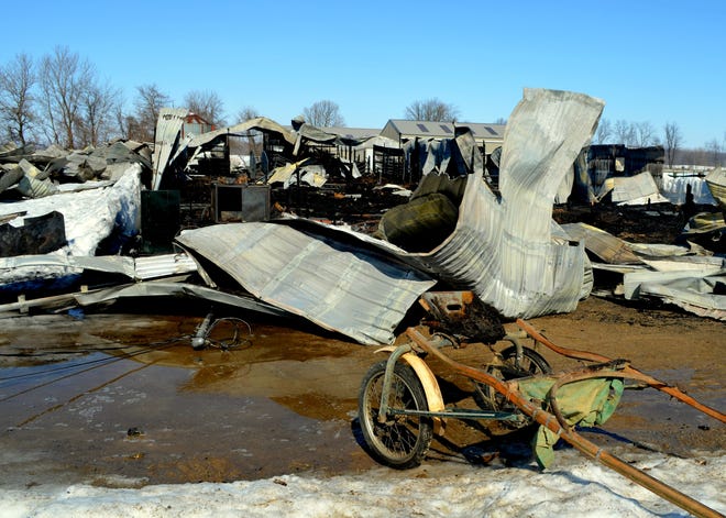 A sulky sits in front of the burned out barn and the remains of 35 horses in California township