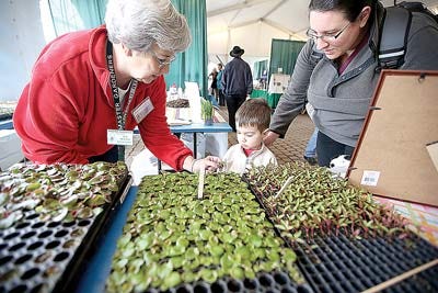 Photo by Daniel Freel/New Jersey Herald Deb Sparnon, master gardener volunteer, left, helps Zachary Bose, 2, of Lafayette, choose a budding plant as his mother, Diane, looks on at the 4-H children’s interactive exhibit at the 2014 Springfest Garden Show.