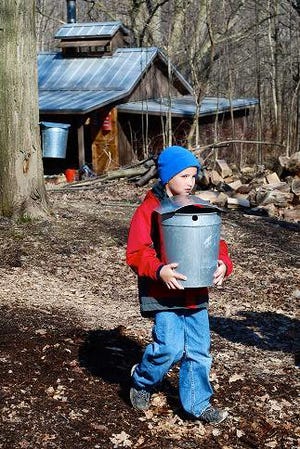 It's time to gather the sap at VanRaalte Farm. Contributed