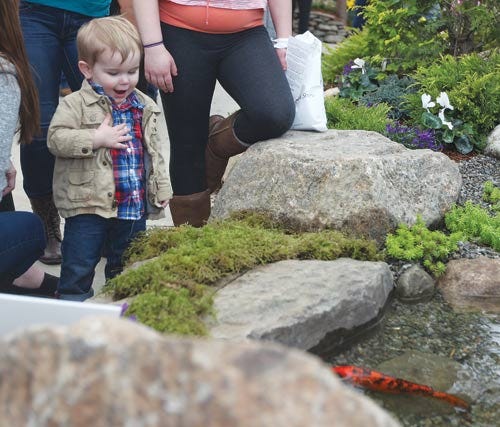Photo by Marie Dirle/ New Jersey Herald - Benjamin Smith, of Hampton, looks excitedly at the Koi fish in the pond during Springfest at the Sussex County Fairgrounds in Frankford.