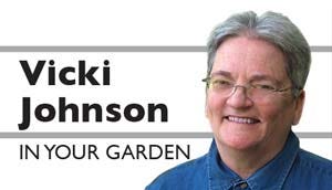 Vicki Johnson