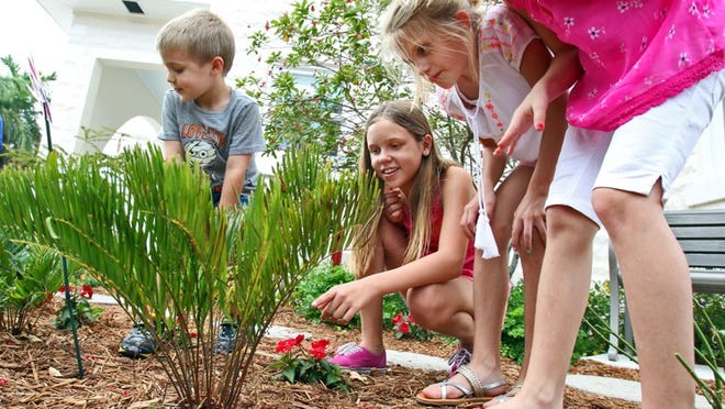 (L to R) Brandon Ablel, 4, of Boynton Beach, and sisters Madison, 11, Molly, 8, and McKenna, 8, (last name withheld) of Orlando, watch an Atala caterpillar feed on Coontie, planted inside the new butterfly garden at the Schoolhouse Children's Museum in Boynton Beach on March 28, 2014. (Richard Graulich / The Palm Beach Post)