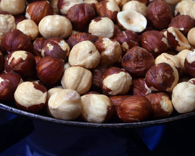 Oregon hazelnuts have become the global benchmark for large size and distinctive flavor.
