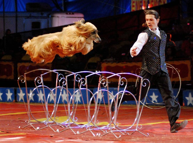 The Cole Brothers Circus is scheduled to be in Havelock Monday, Tuesday and Wednesday, with shows scheduled for 4:30 and 7:30 p.m.