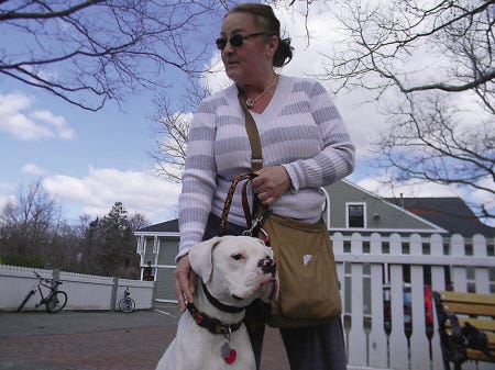 Deb Whitnell of Exeter takes a break while walking Tyzon, a 1-year-old white boxer, on Water Street in Exeter. Whitnell said she would like to see the town continue to mail reminders about licensing dogs.
