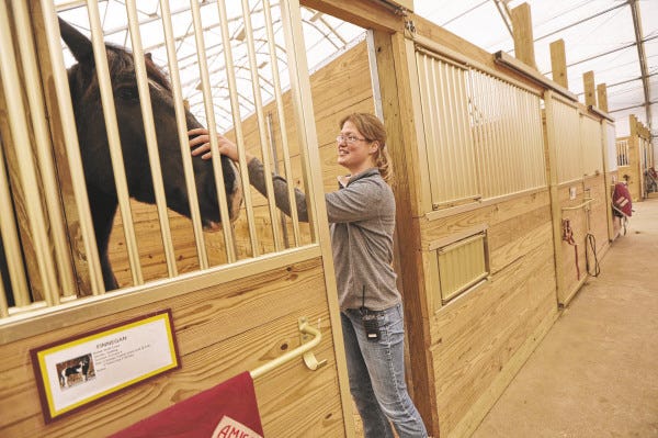 Large animal science teacher Rachel Gagne checks in on one of the 8 horses that call Bristol Aggie home.