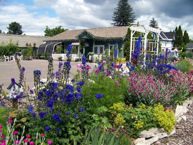 Nancy Wilson, owner of Petals on Ashmun (above), will be the featured speaker at the April 21 meeting of the Sault Area Garden Club.