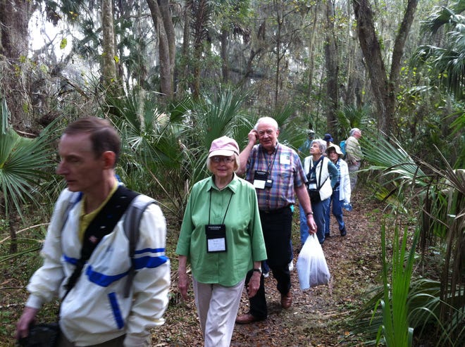 This weekend's 'Old Florida' Birding and Nature Festival offers participants the opportunity to enjoy a variety of nature trips, from paddling and hiking to bird-watching and photography.