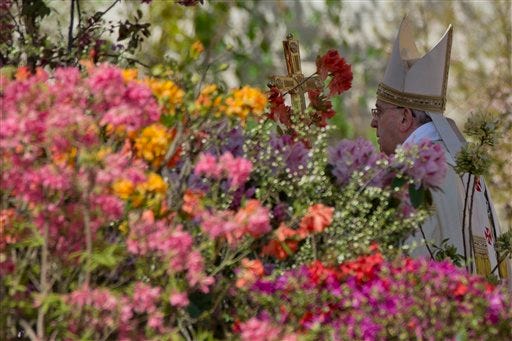 Flowers from the Netherlands decorate St. Peter's Square as Pope Francis arrives to celebrate an Easter Mass in St. Peter's Square at the the Vatican, Sunday, April 20, 2014. Francis is celebrating Christianity's most joyous day, Easter Sunday, under sunny skies in St. Peter's. (AP Photo/Andrew Medichini)