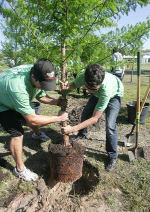 Matt Lawson, left, and P.J. McDermott join other NASCAR and Daytona International Speedway employees planting 35 trees at the Yvonne Scarlett-Golden Center on Tuesday as part of the NASCAR Green Clean Air Tree Planting Program.