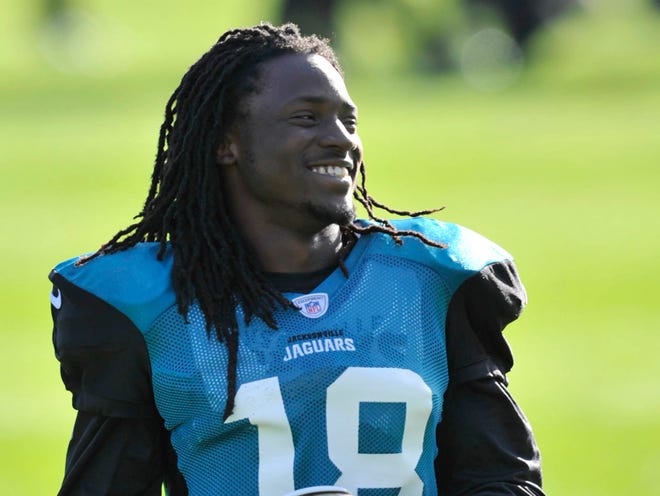 Phelan M. Ebenhack Associated Press Wide receiver Ace Sanders was a late-round pick that worked out for the Jaguars last season. The team has eight third-day picks in this year's NFL Draft.