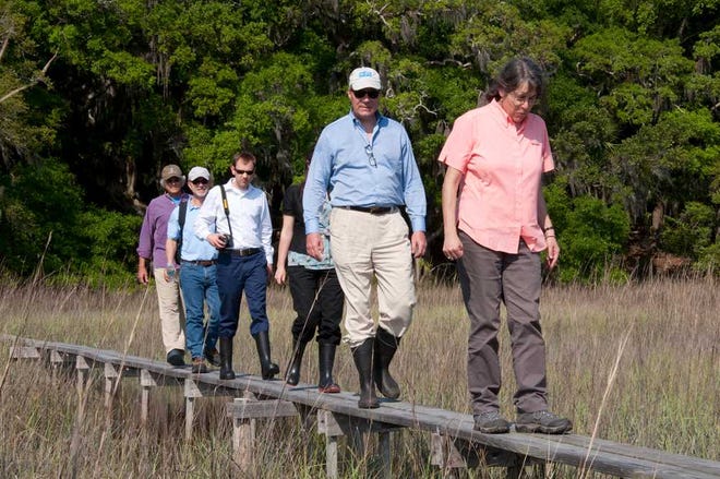 Photos courtesy of University of GeorgiaUGA Director of the Marine Institute at Sapelo Island, Merryl Alber, right, leads Sen. Sheldon Whitehouse, second from right, into the marsh on Sapelo Island via the Teal boardwalk, a structure originally built in the 1950s to provide research access without trampling the marsh.