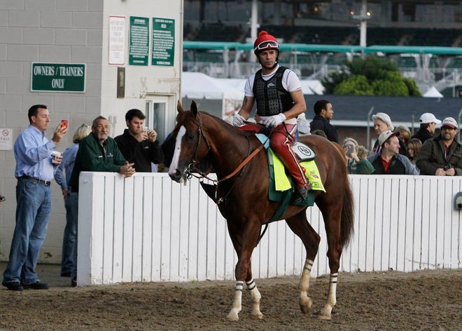 Exercise rider William Delgado takes Kentucky Derby hopeful California Chrome for a morning workout at Churchill Downs Wednesday, April 30, 2014, in Louisville, Ky.