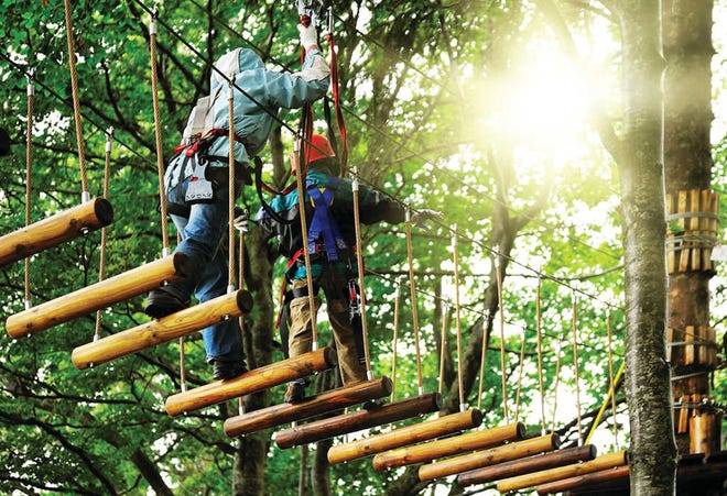 Wild Blue Ropes, a brand-new elevated ropes course, offers four courses, each with a different difficulty level in Charlston, S.C.