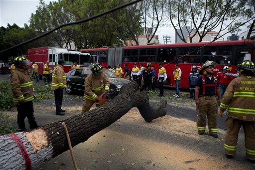 Firefighters cut apart a fallen tree that took down power lines and landed on a car, after an earthquake shook the city and sent people scurrying from office buildings, in Mexico City, Thursday, May 8, 2014. A strong earthquake shook the southern Pacific coast of Mexico and several states, including the capital on Thursday. (AP Photo/Rebecca Blackwell)