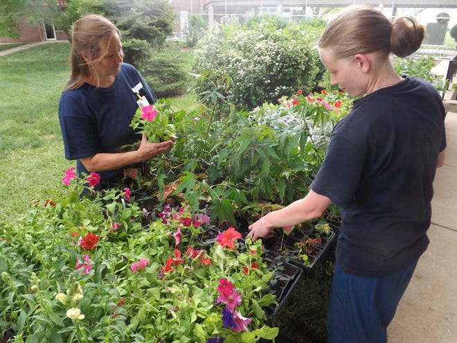 Topeka Correctional Facility inmates Kristina Arb, 48, and Destiny Melton, 30, show some of the plants available at this year's sale. The sale, which offers some 110 varieties of plants for $1 each, goes through 3 p.m. Friday at the prison, 815 S.E. Rice Road.