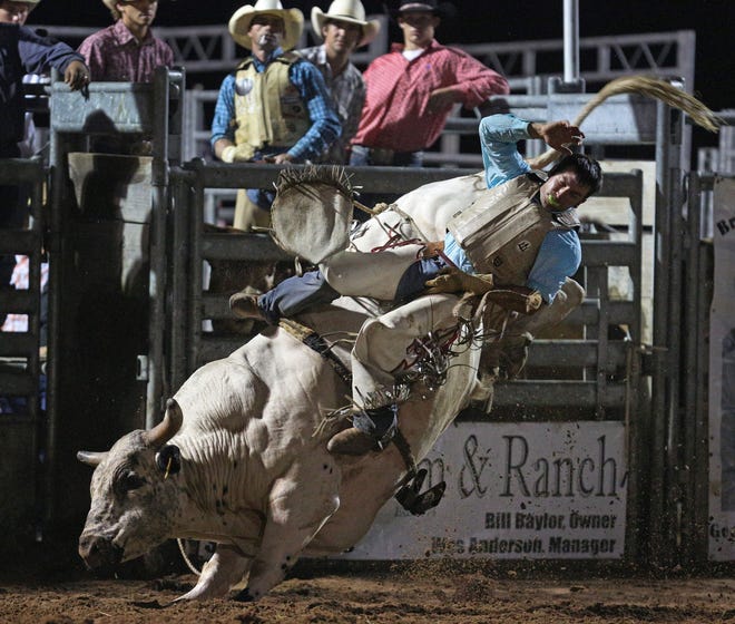 Bull riders compete during the 2013 Brian Earl Foster Invitational bull riding event at the Flagler County Fairgrounds in Bunnell, which draws some of the Southeast's top riders.