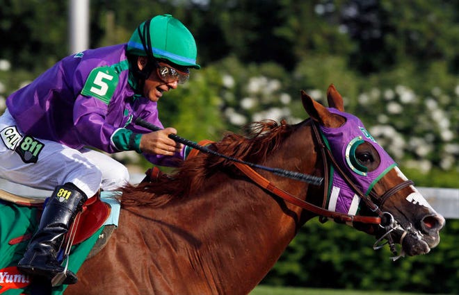 Kentucky Derby winner California Chrome will be taking his five-race winning streak into the Preakness Stakes.