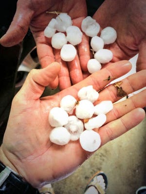 Hail stones that fell during the storms Sunday evening, May 11, 2014, in Dodge City.