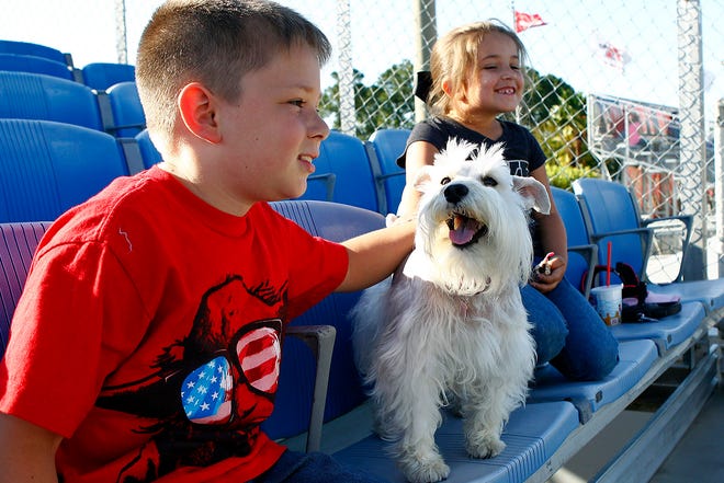 Logan Hebert, 8, and Elizabeth Hebert, 6, of Houma, watch Friday’s Nicholls State/McNeese baseball game with their dog Heidi at Ray E. Didier field in Thibodaux. The “Bark in the Park” event, sponsored by PETCO, allowed spectators to bring their dogs to the game. Story, 1B.