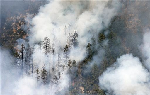 Smoke shrouds burned pine trees as the Slide Fire burns up Oak Creek Canyon on Friday, May 23, 2014, near Flagstaff, Ariz. The fire has burned approximately 7,500 acres and is five percent contained. (AP Photo/Ross D. Franklin)